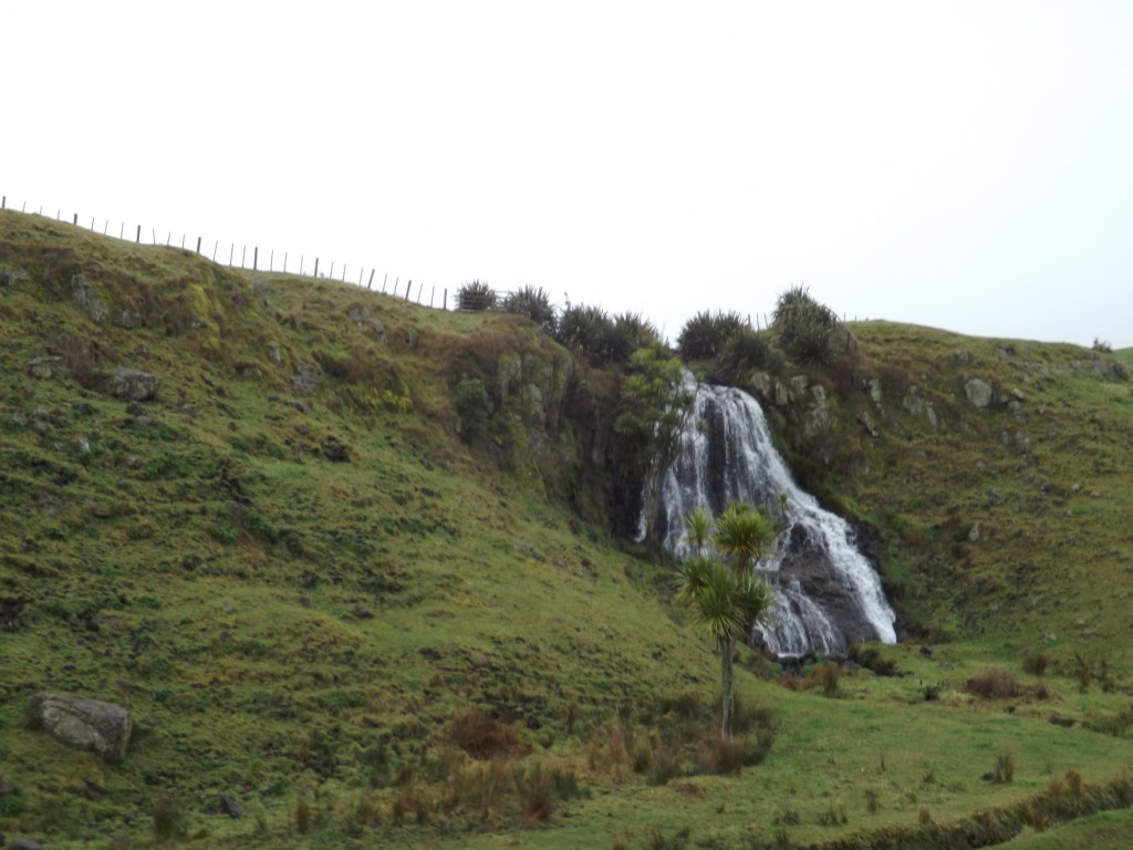 Northern Explorer Train Auckland to Wellington - NZ Travel