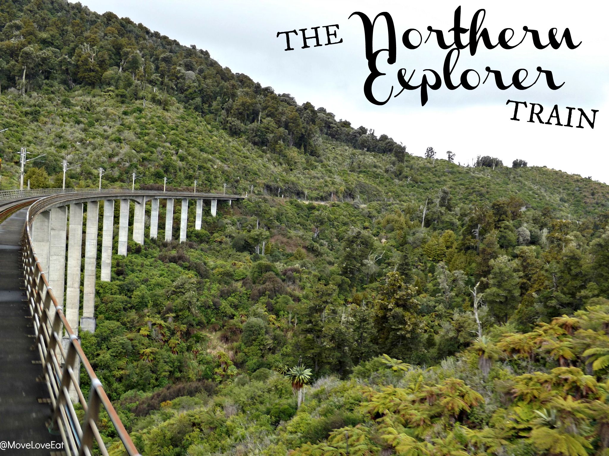 Northern Explorer Train Auckland to Wellington - NZ Travel