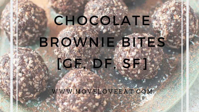 Chocolate Brownie Bites [GF, DF, SF]